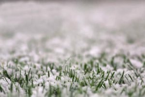 snow of artificial grass