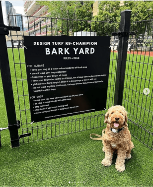 Largest dog park downtown Toronto at the Stack tMarket 